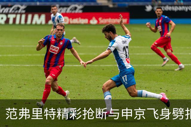 范弗里特精彩抢断与申京飞身劈扣的震撼时刻
